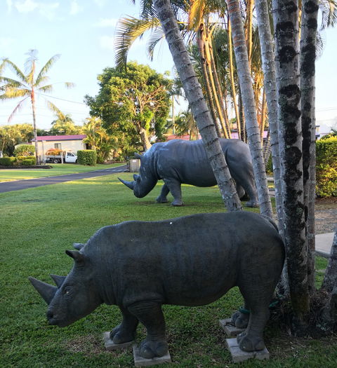 Sarina Palms Caravan Village - Broome Tourism 9