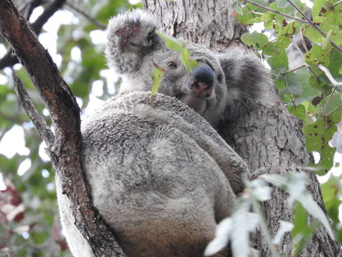 Twilight Grove Farm Bed And Breakfast - Broome Tourism 1