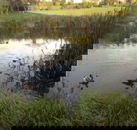 Harewood House Bed and Breakfast - Broome Tourism