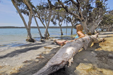 Margaret Cove Camp At Stokes National Park - Broome Tourism 2
