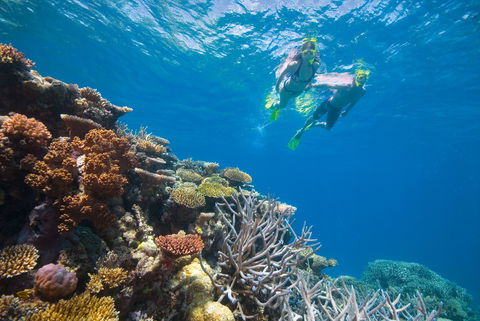 NRMA Cairns Holiday Park - Broome Tourism 0