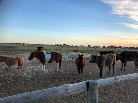 Tarnasey Farm - Bump's Barn - Broome Tourism 1