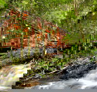 The Mouses House - Rainforest Retreat - Broome Tourism