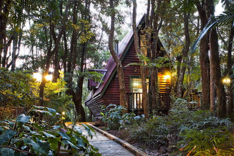 The Mouses House - Rainforest Retreat - Broome Tourism 2