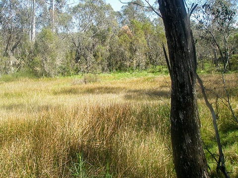 Tin Mines Campground - Broome Tourism 1