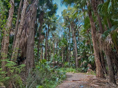 Brambles Green Campground - Broome Tourism 1