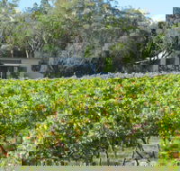 Just Red Wines Vineyard Cabins - Broome Tourism