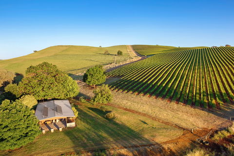 Mt Bellevue - King Valley - Broome Tourism 0