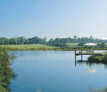 Forest Rise Eco Retreat - Broome Tourism