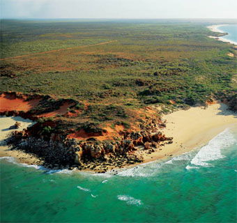 Eco Beach Wilderness Retreat - Broome Tourism 2