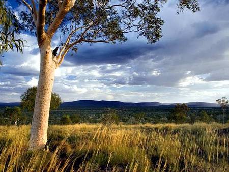 Karijini Eco Retreat - Broome Tourism 5