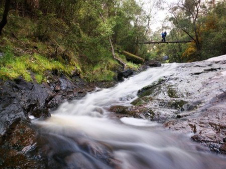 Karri Valley Resort - Broome Tourism 2