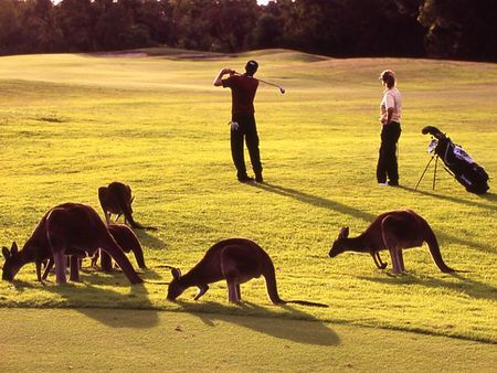 Novotel Swan Valley Vines Resort - Broome Tourism 1