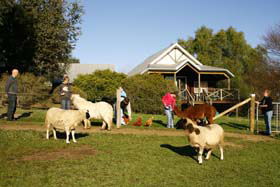 Sunnyhurst Chalets - Broome Tourism 0