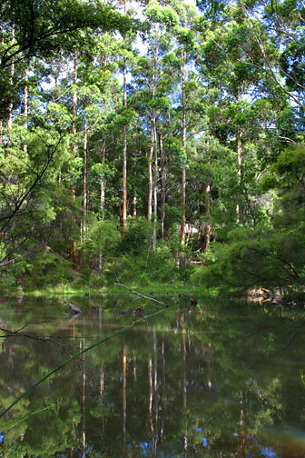 Peppermint Grove Retreat - Broome Tourism 0