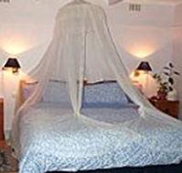 Bondi Beach Garden Sweet - Broome Tourism