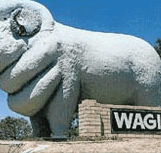 Wagin Motel - Broome Tourism