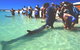 Shark Bay Caravan Park - thumb 1