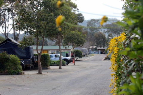 Albury All Seasons Tourist Park - Broome Tourism 0