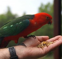 Barrington Tops Escapes - Broome Tourism