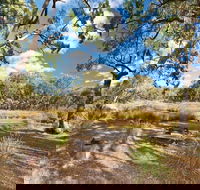 Kings Plains Creek campground