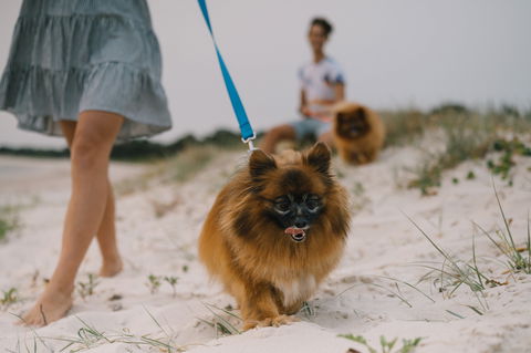 Reflections Holiday Parks Mylestom - Broome Tourism 1