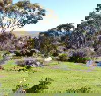 Austiny Bed and Breakfast - Broome Tourism