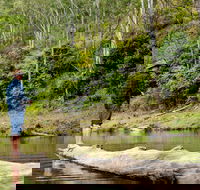 Bass Lodge - Broome Tourism