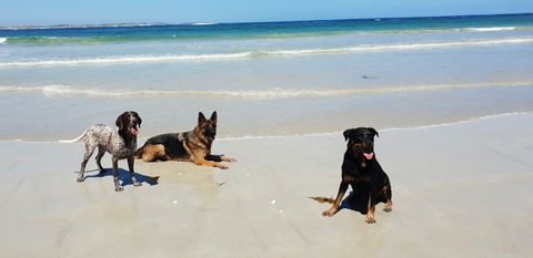 BIG4 Warrnambool Figtree Holiday Park - Broome Tourism 2