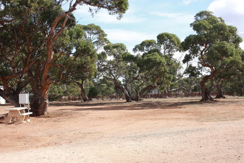 Cleve Showgrounds RV Park - Broome Tourism 1