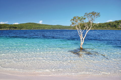 Fraser Island Fishing Units - Broome Tourism 0