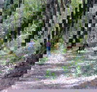 Honeymoon Pool - Gelcoat Camp at Wellington National Park - Broome Tourism