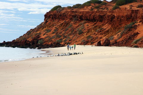 South Gregories Camp At Francois Peron National Park - Broome Tourism 0