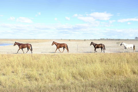 Charlotte Plains - Broome Tourism 2