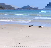 Eagles Rise Tasmania - Broome Tourism
