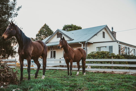 Glenburnie Cottage - Broome Tourism 0