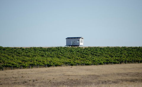 Hounds Run Vineyard - Broome Tourism 0