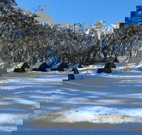 Mt Stirling Alpine Winter Camp - Broome Tourism