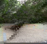 Springbrook National Park camping - Broome Tourism