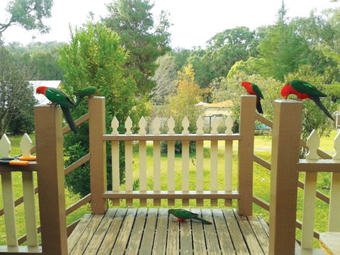Warrumbungles Mountain Motel - Broome Tourism 0