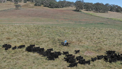 Waterloo Station - Broome Tourism 2