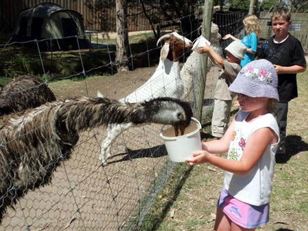 Bairnsdale Holiday Park - Broome Tourism 2
