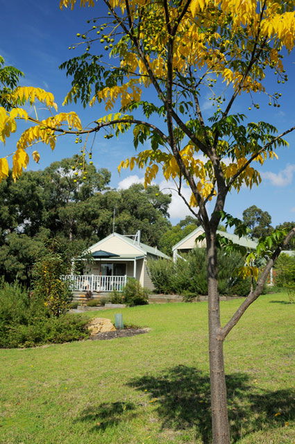 Stringybark Cottages - Broome Tourism 2