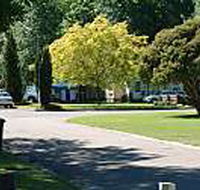 Mitchell Gardens Holiday Park - Broome Tourism