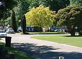 Mitchell Gardens Holiday Park - Broome Tourism 0