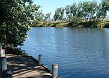 Mitchell Gardens Holiday Park - Broome Tourism 2