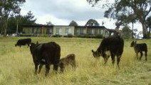 Bumblebrook Farm Motel - Broome Tourism 1