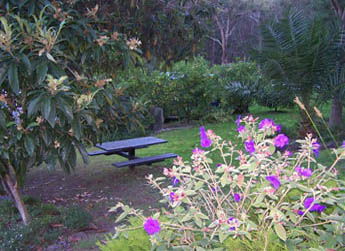 Sunway Farm B And B And Tours - Broome Tourism 2