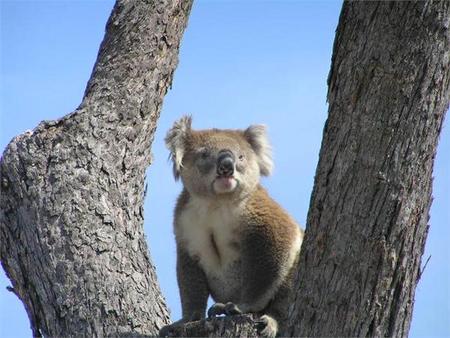 Ocean Grange VIC Broome Tourism