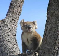 Resthaven Caravan Park - Broome Tourism